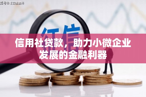 忠县信用社贷款，助力小微企业发展的金融利器