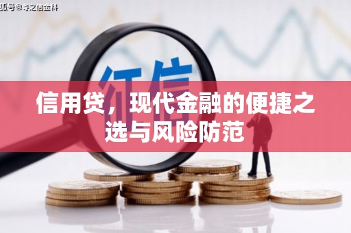 忠县信用贷，现代金融的便捷之选与风险防范