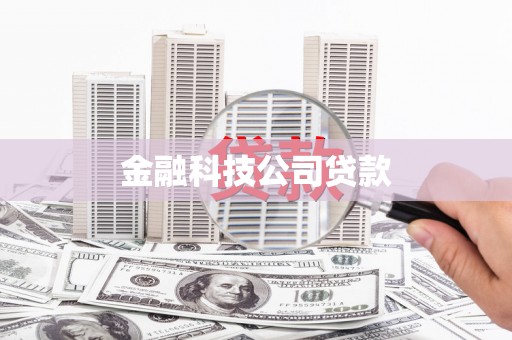 忠县金融科技公司贷款