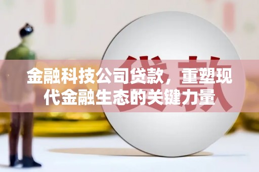 忠县金融科技公司贷款，重塑现代金融生态的关键力量