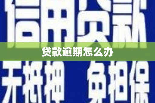 忠县贷款逾期怎么办