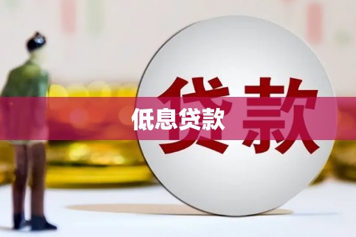 忠县低息贷款