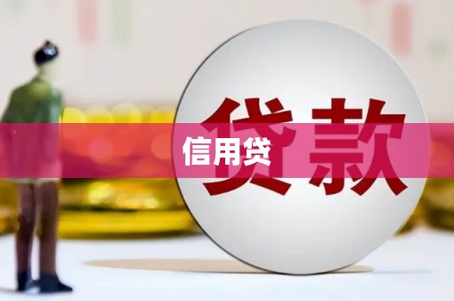 忠县信用贷