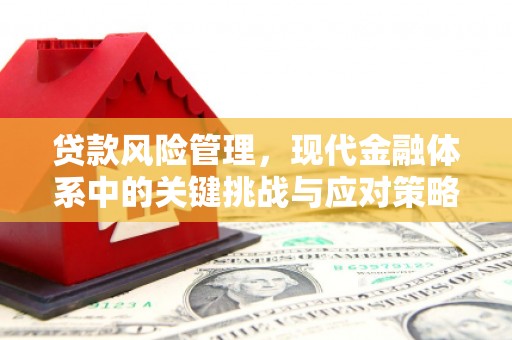 忠县贷款风险管理，现代金融体系中的关键挑战与应对策略