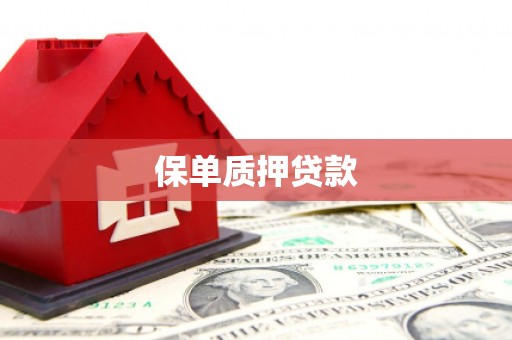 忠县保单质押贷款