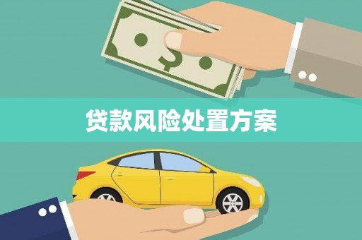 忠县贷款风险处置方案