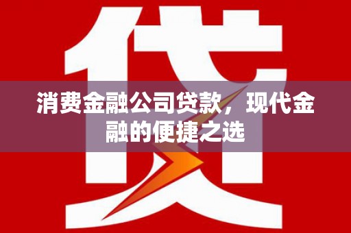 忠县消费金融公司贷款，现代金融的便捷之选