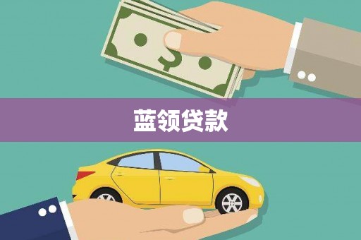 忠县蓝领贷款
