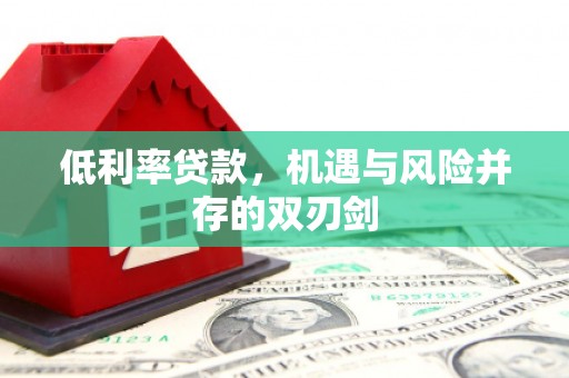 忠县低利率贷款，机遇与风险并存的双刃剑