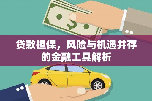 忠县贷款担保，风险与机遇并存的金融工具解析