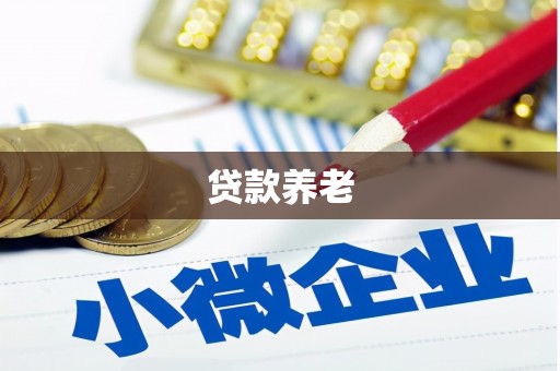 忠县贷款养老