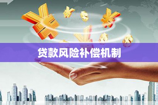 忠县贷款风险补偿机制
