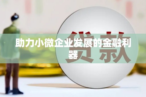 忠县助力小微企业发展的金融利器
