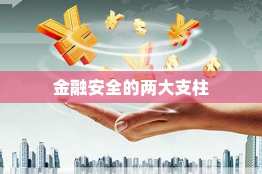 忠县金融安全的两大支柱