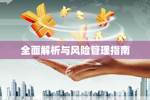 忠县全面解析与风险管理指南