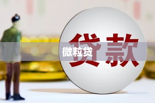 忠县微粒贷