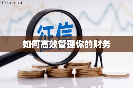 忠县如何高效管理你的财务