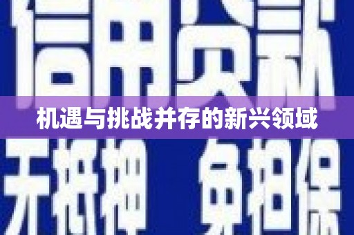 忠县机遇与挑战并存的新兴领域