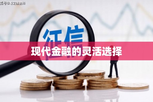 忠县现代金融的灵活选择