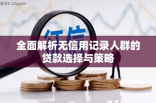 忠县全面解析无信用记录人群的贷款选择与策略
