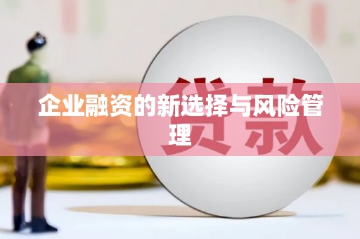忠县企业融资的新选择与风险管理