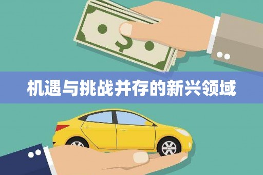 忠县机遇与挑战并存的新兴领域