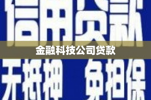 忠县金融科技公司贷款