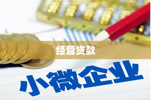 忠县经营贷款