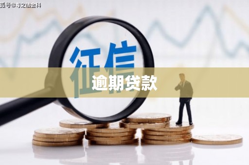 忠县逾期贷款
