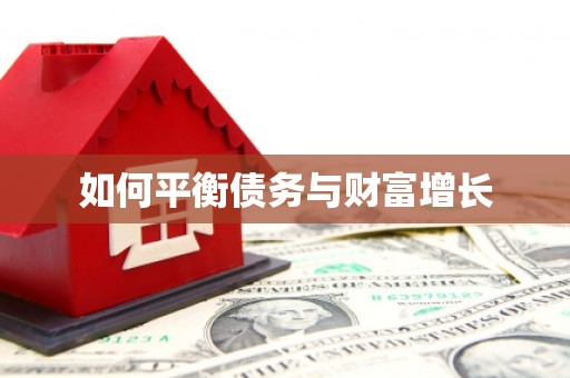 忠县如何平衡债务与财富增长