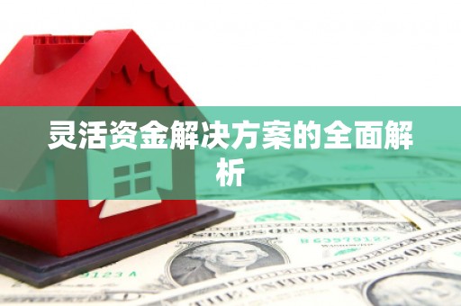 忠县灵活资金解决方案的全面解析