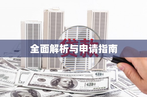 忠县全面解析与申请指南
