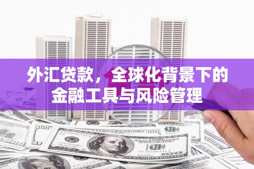 忠县外汇贷款，全球化背景下的金融工具与风险管理