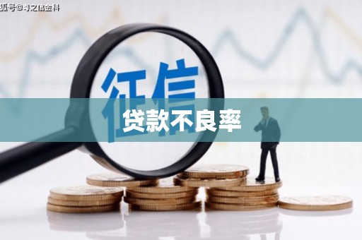 忠县贷款不良率