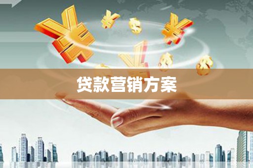 忠县贷款营销方案